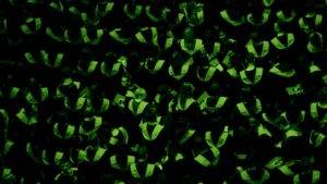 Mit Machine Learning relevante Nutzer vorhersagen