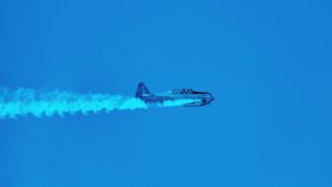 survivorship-bias-performance-statistical-business